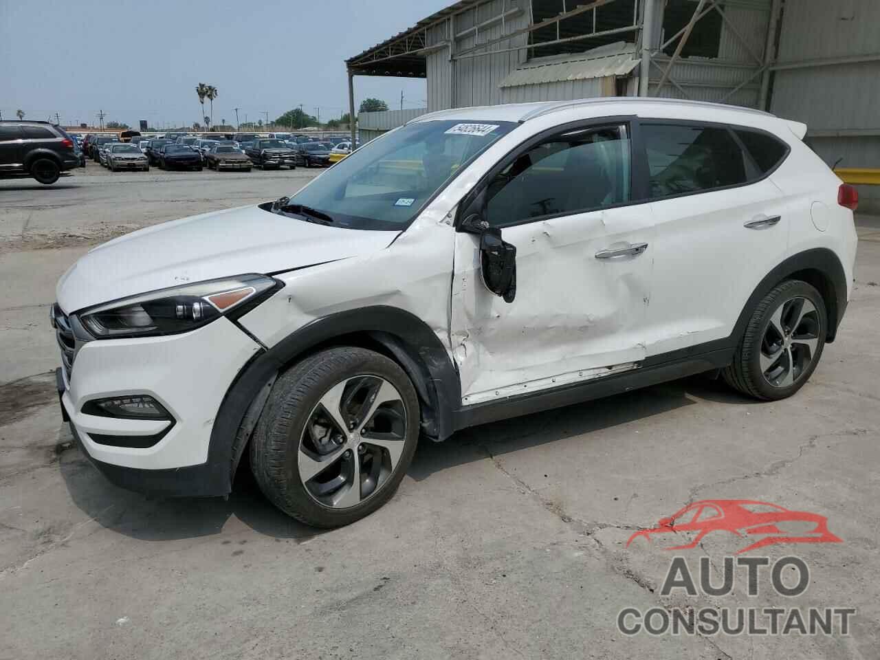 HYUNDAI TUCSON 2016 - KM8J33A22GU084088