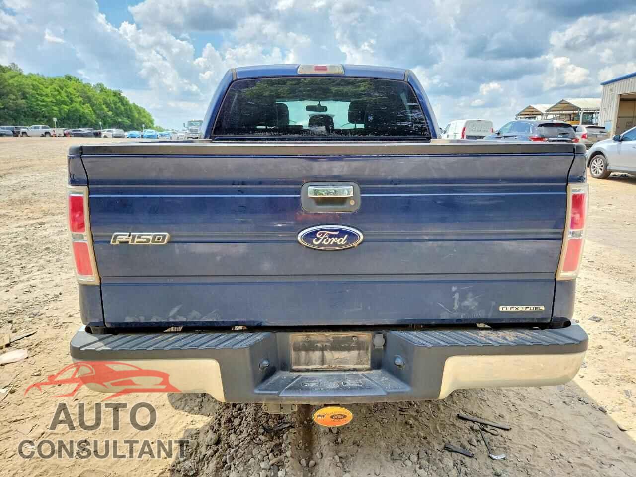 FORD F150 2013 - 1FTFW1EF6DFD61702