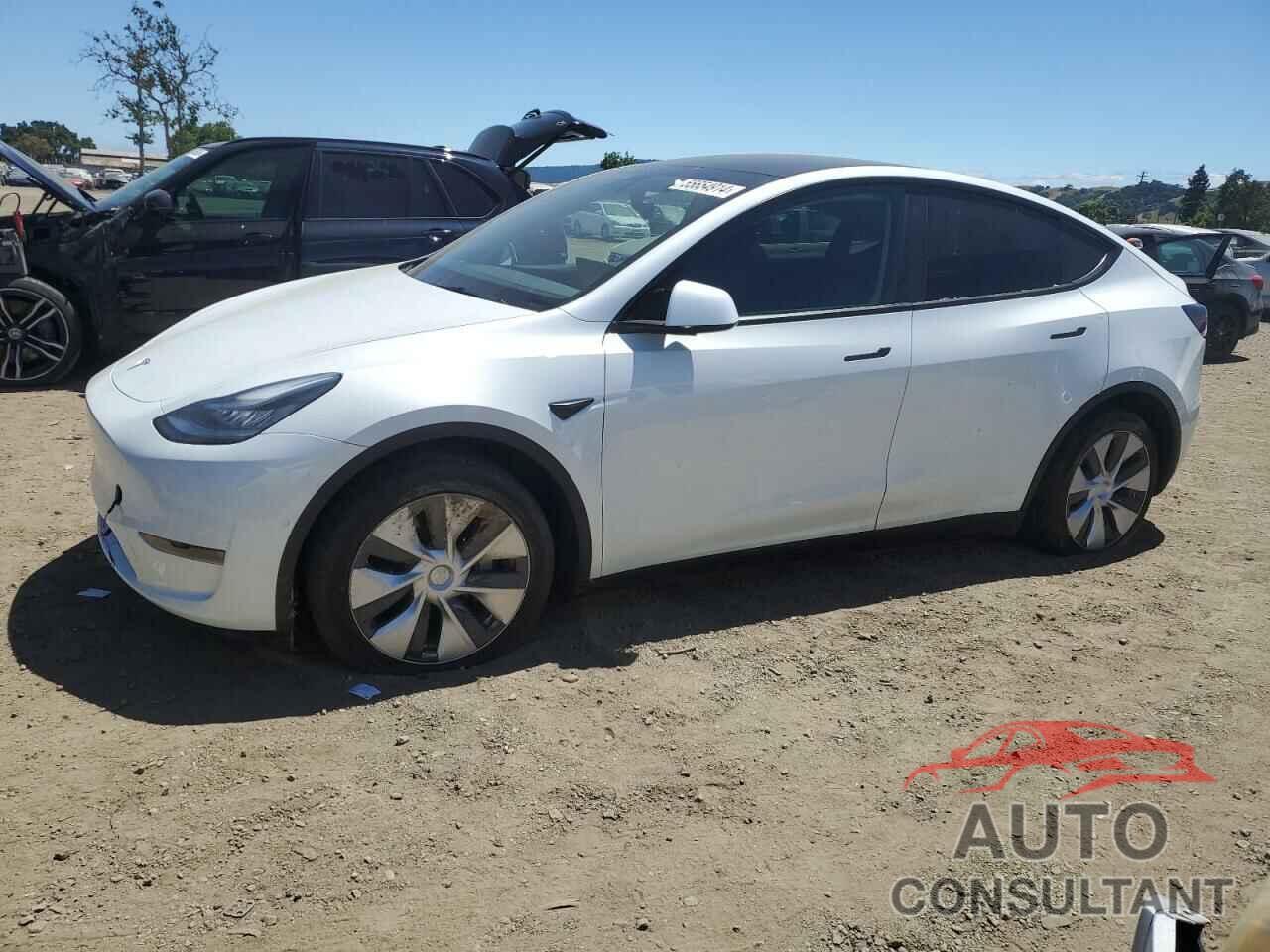 TESLA MODEL Y 2021 - 5YJYGDEEXMF118977