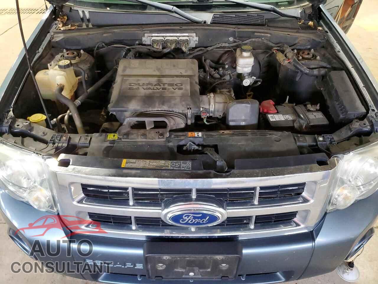 FORD ESCAPE 2011 - 1FMCU9DG2BKC62389