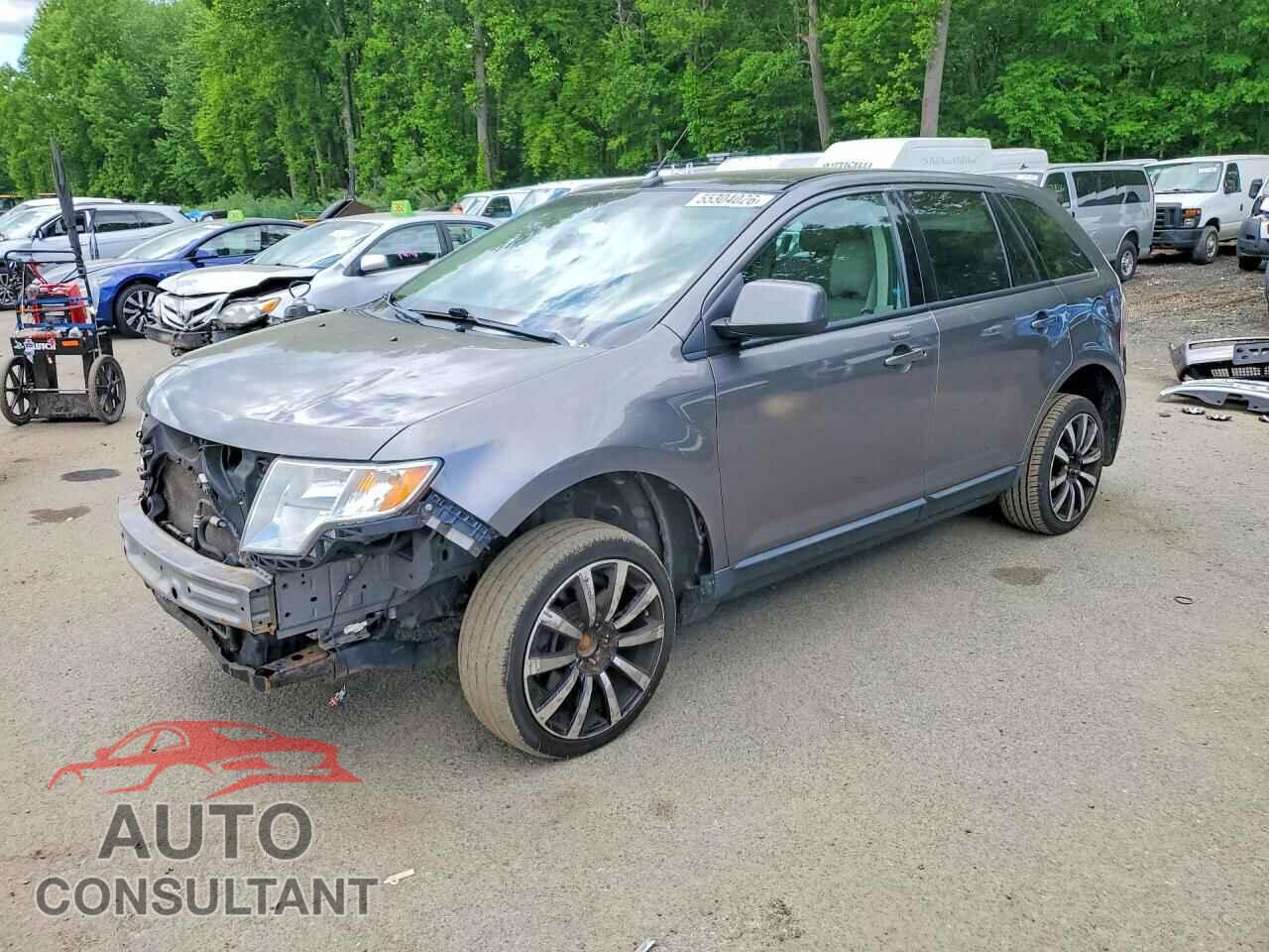 FORD EDGE 2009 - 2FMDK48C09BA85687
