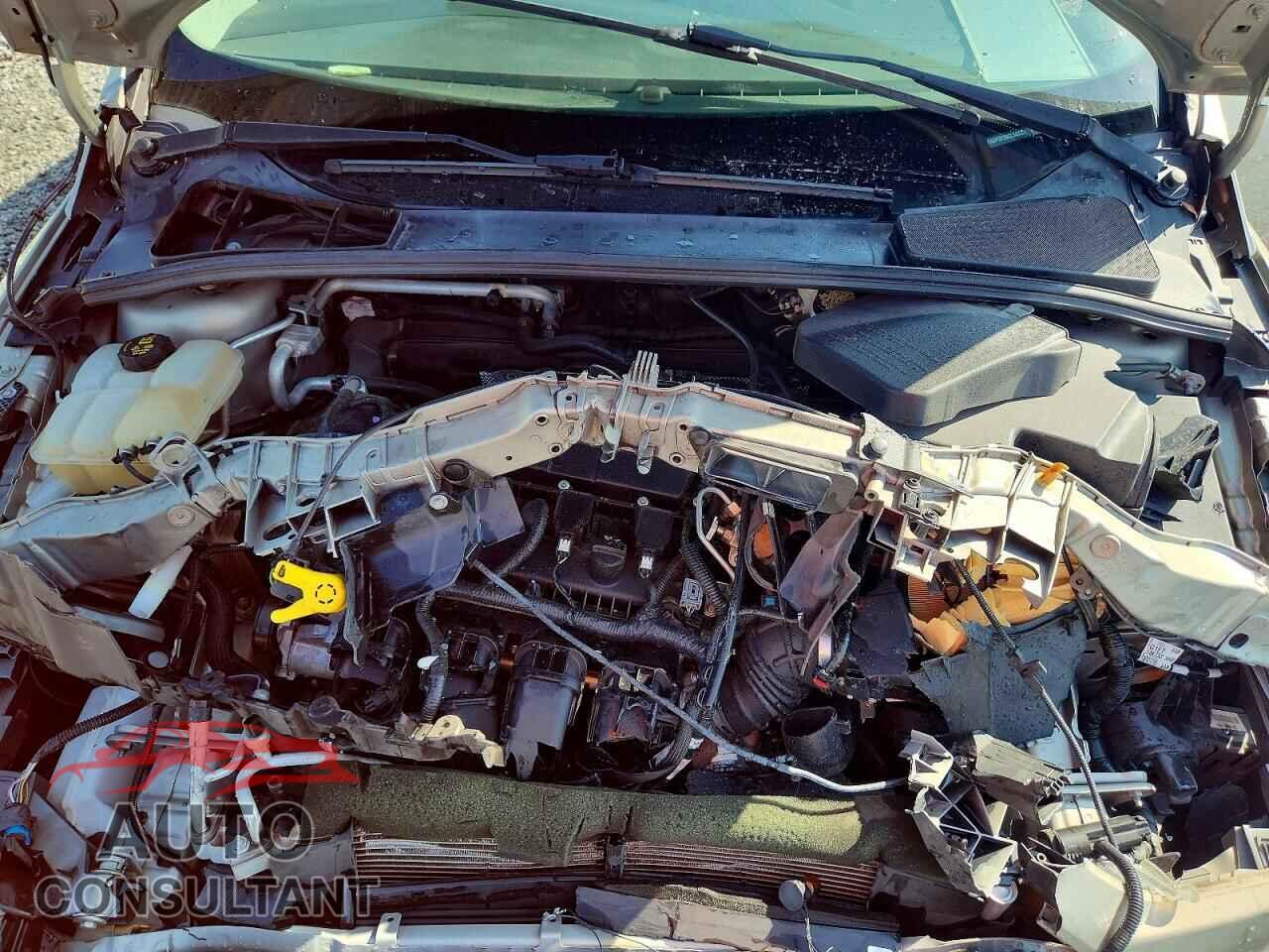 FORD FOCUS 2016 - 1FADP3F29GL348921