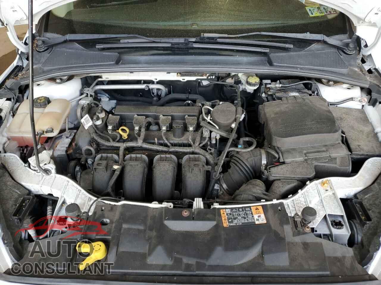 FORD FOCUS 2016 - 1FADP3K22GL213544
