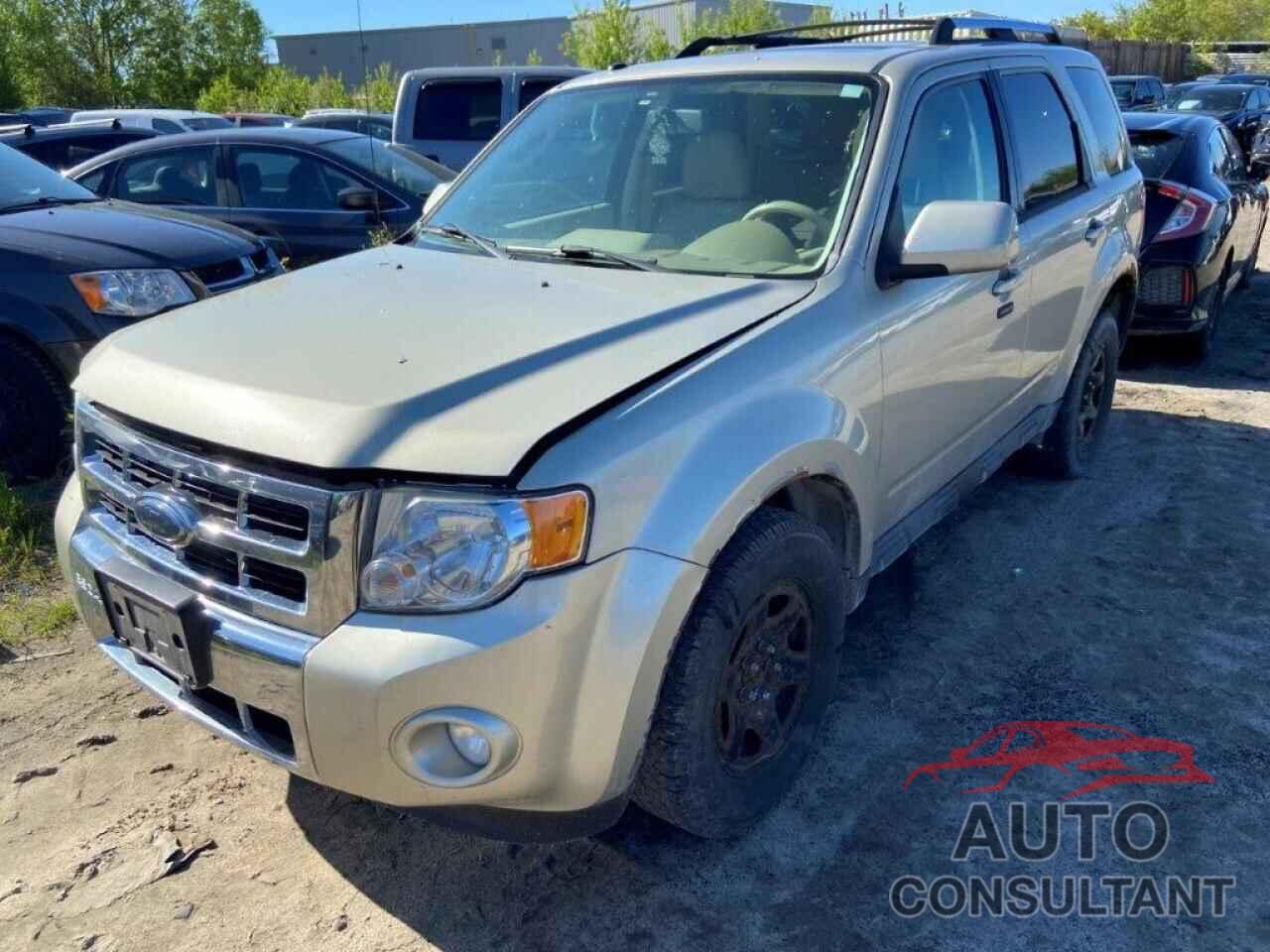 FORD ESCAPE 2010 - 1FMCU9EGXAKA51292
