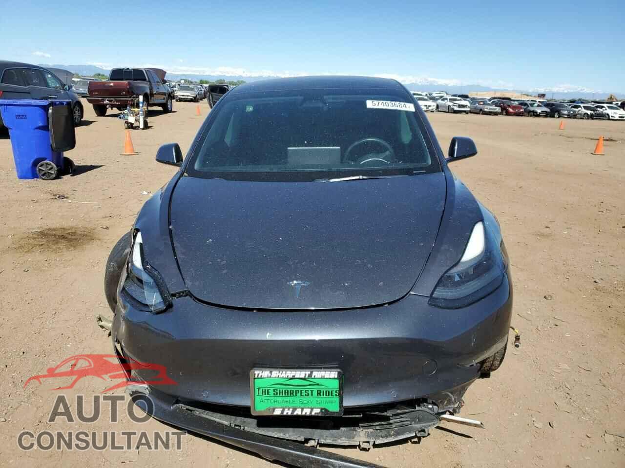 TESLA MODEL 3 2021 - 5YJ3E1EA5MF095121