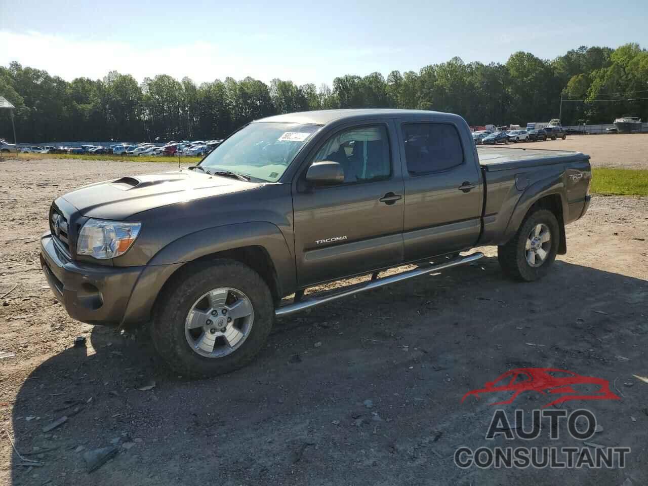 TOYOTA TACOMA 2009 - 3TMMU52N99M008328