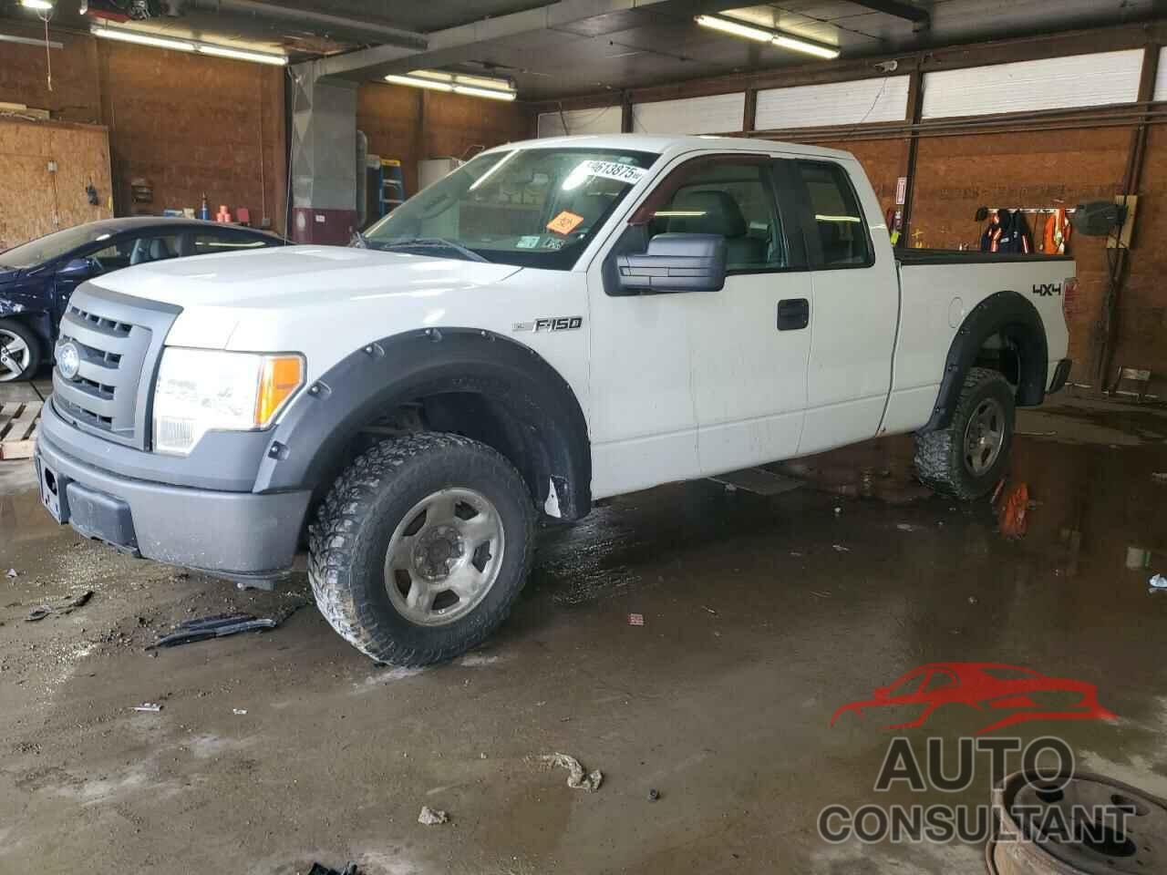 FORD F-150 2009 - 1FTRX14W89FB30559