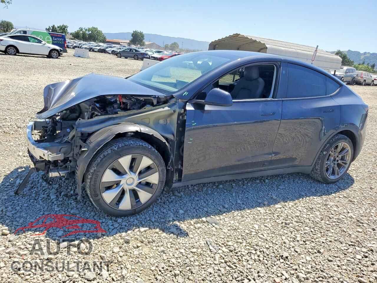 TESLA MODEL Y 2024 - 7SAYGAEE3RF993584