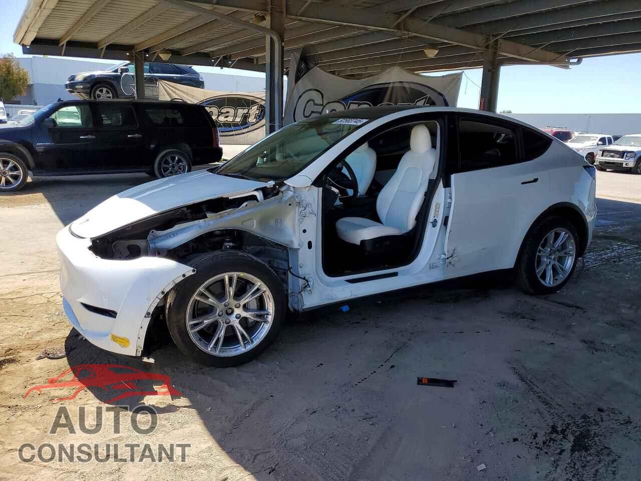 TESLA MODEL Y 2022 - 7SAYGDEE6NF368611