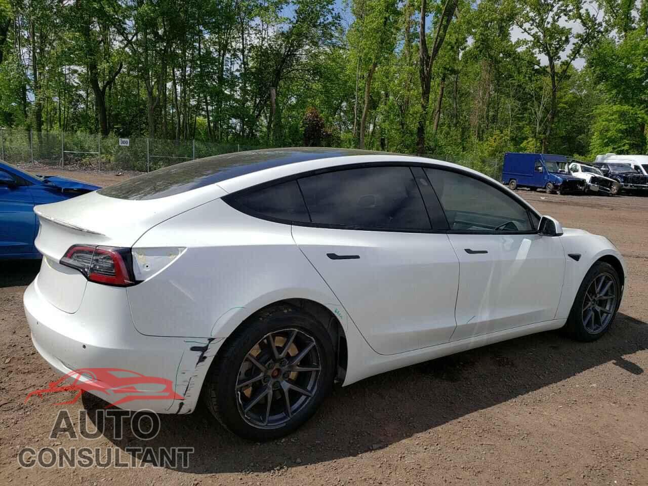 TESLA MODEL 3 2021 - 5YJ3E1EA7MF922665