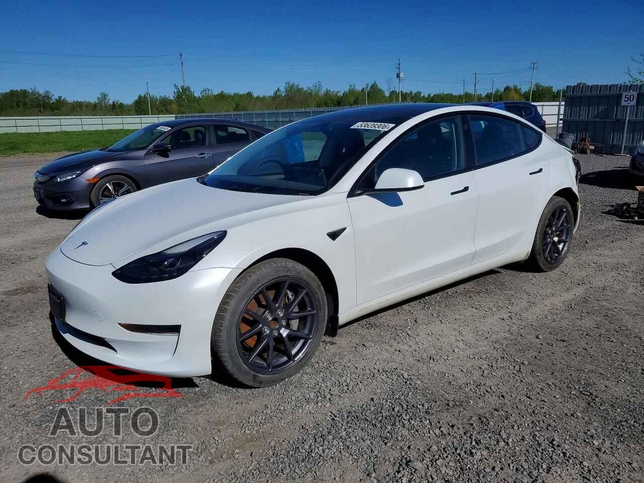 TESLA MODEL 3 2023 - LRW3E1FA7PC843168