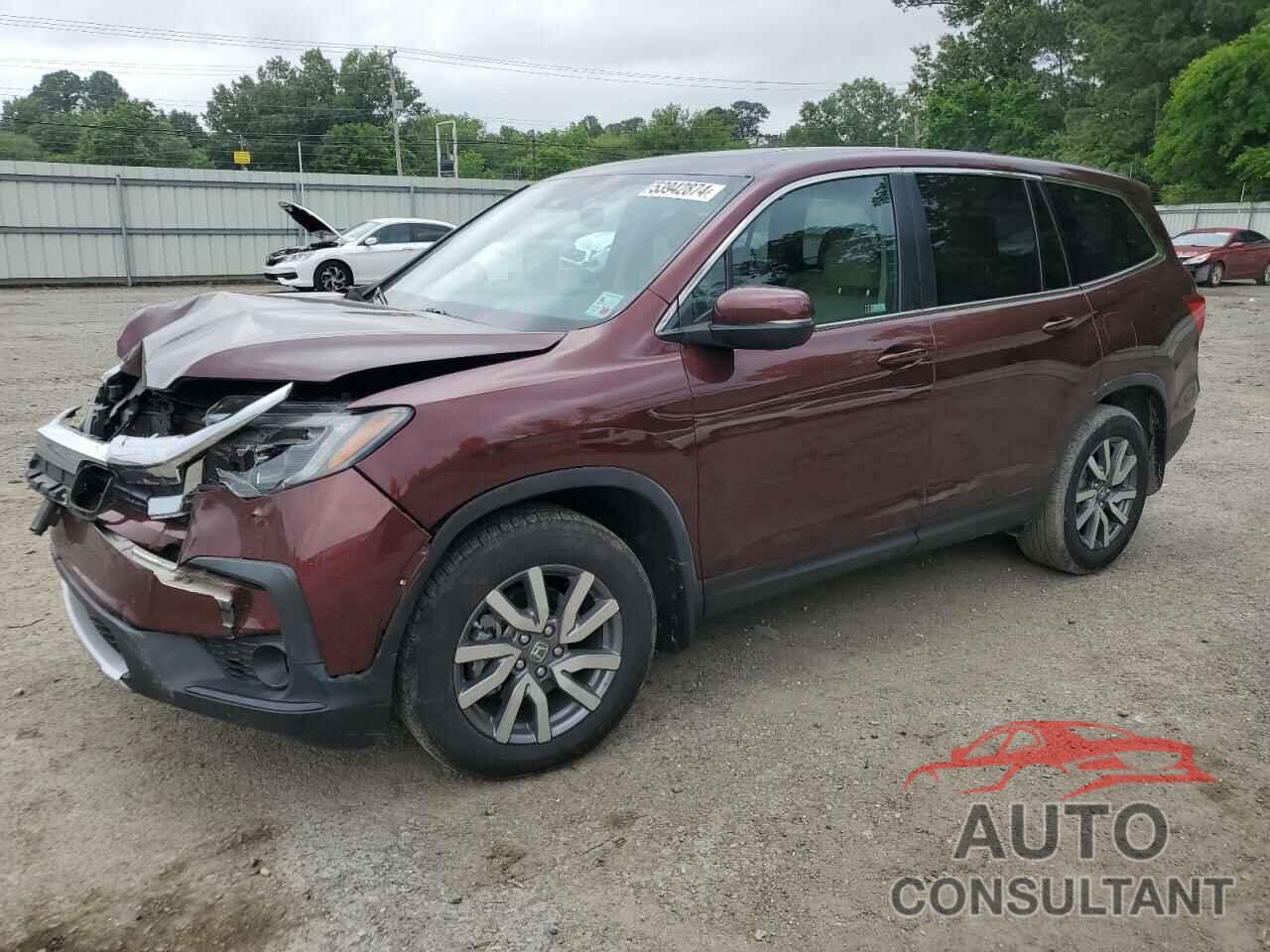 HONDA PILOT 2019 - 5FNYF5H55KB014687