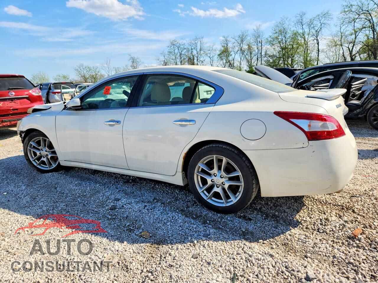 NISSAN MAXIMA 2011 - 1N4AA5AP9BC834656