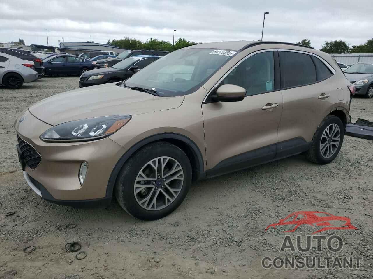 FORD ESCAPE 2020 - 1FMCU0H63LUB19700