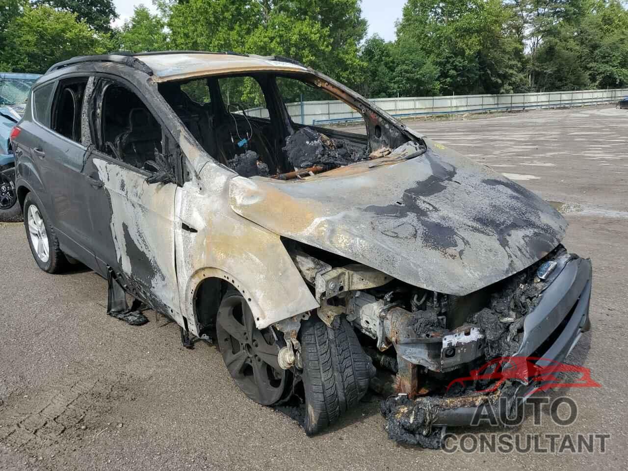 FORD ESCAPE 2016 - 1FMCU9GX3GUA93426