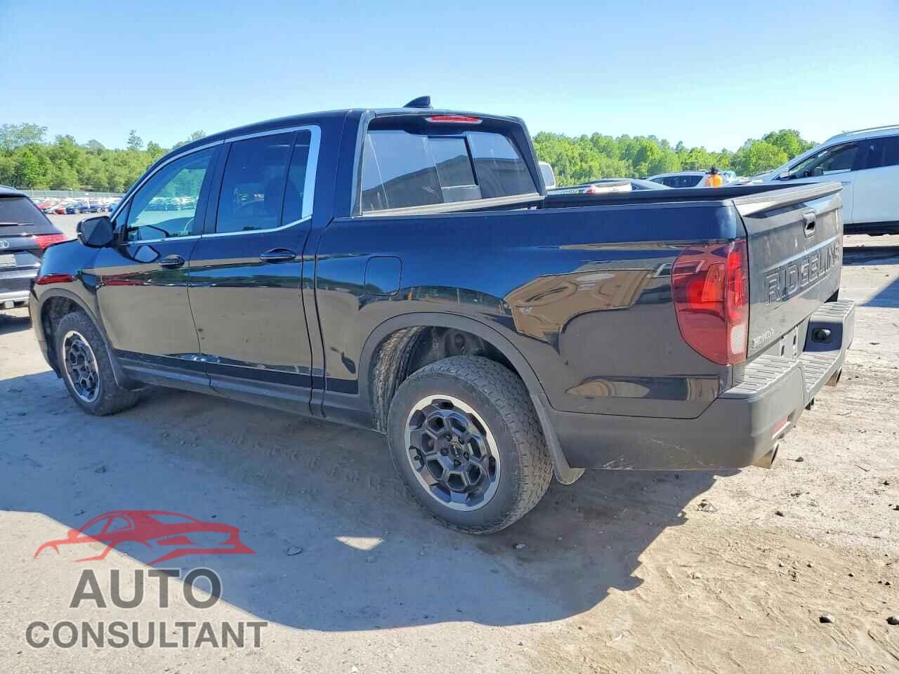 HONDA RIDGELINE 2024 - 5FPYK3F43RB023030