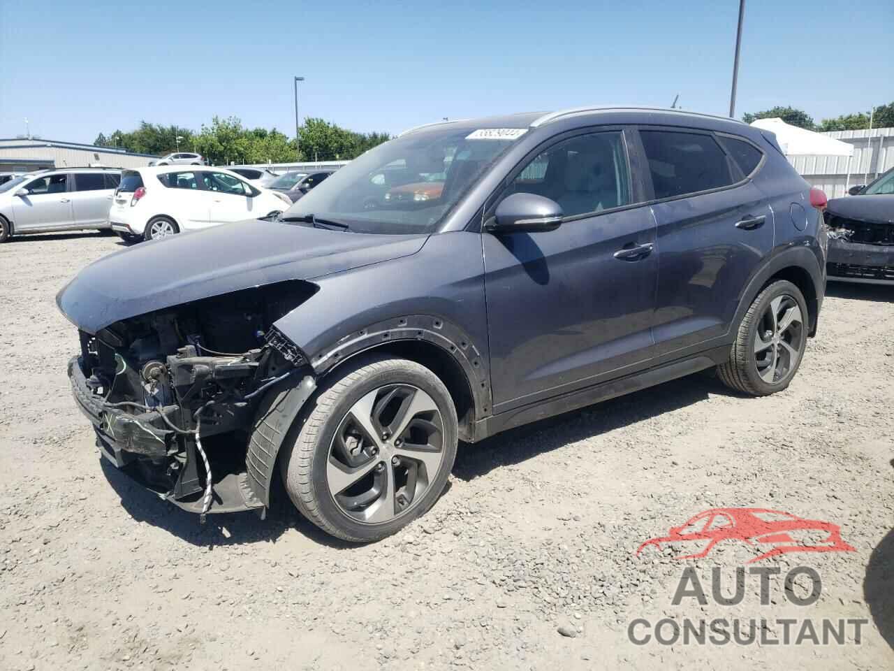 HYUNDAI TUCSON 2016 - KM8J33A25GU230760