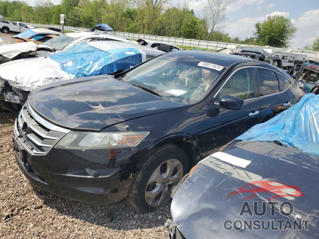 HONDA ACCORD 2010 - 5J6TF2H5XAL801410