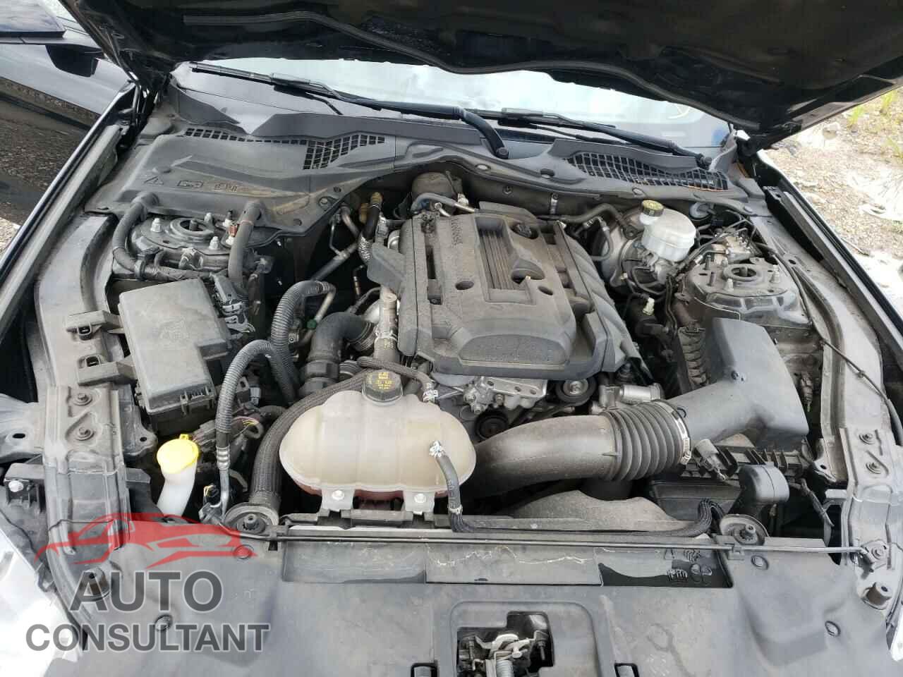 FORD MUSTANG 2018 - 1FA6P8TH5J5178972