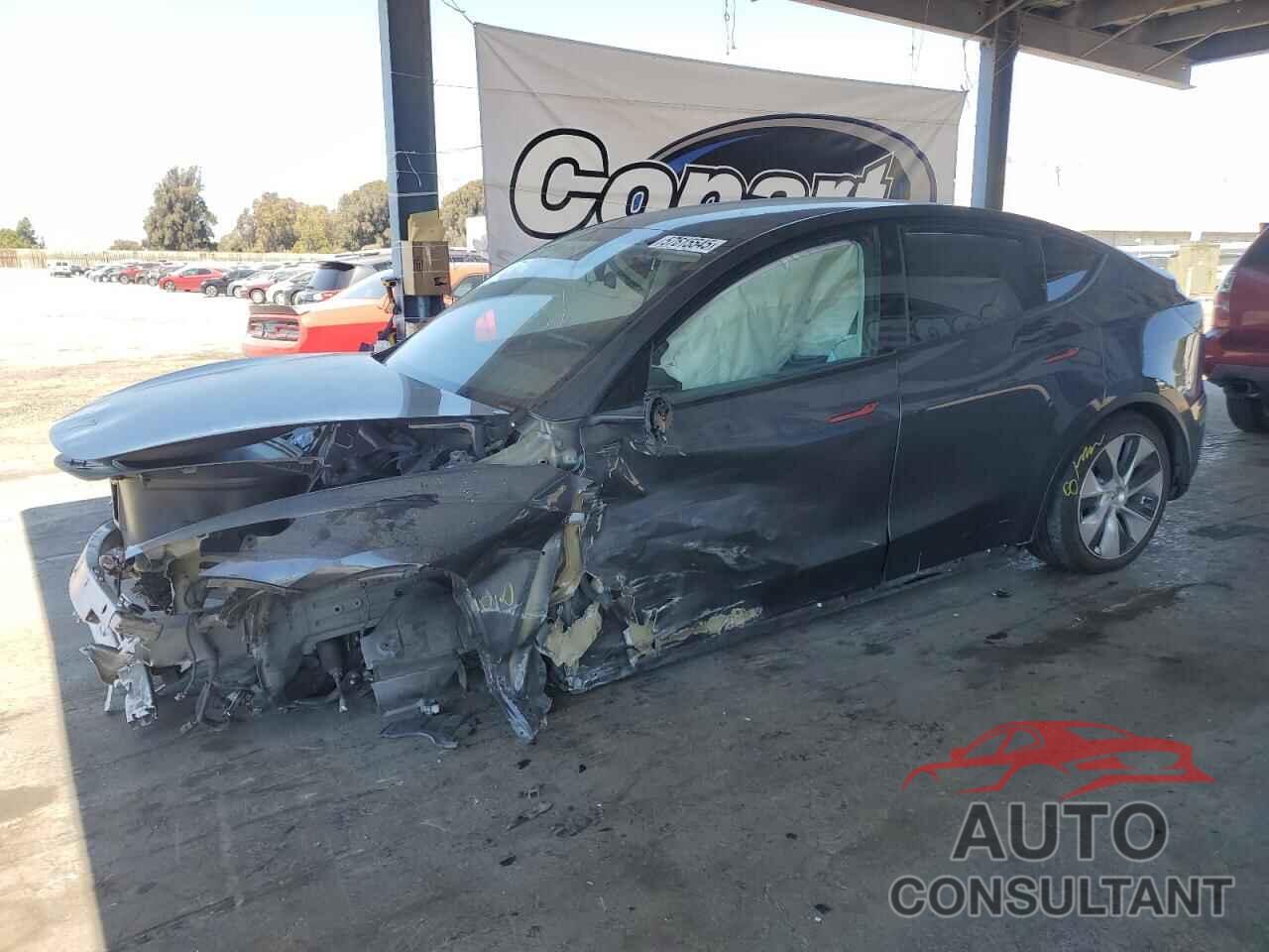 TESLA MODEL Y 2023 - 7SAYGDEE5PF615846
