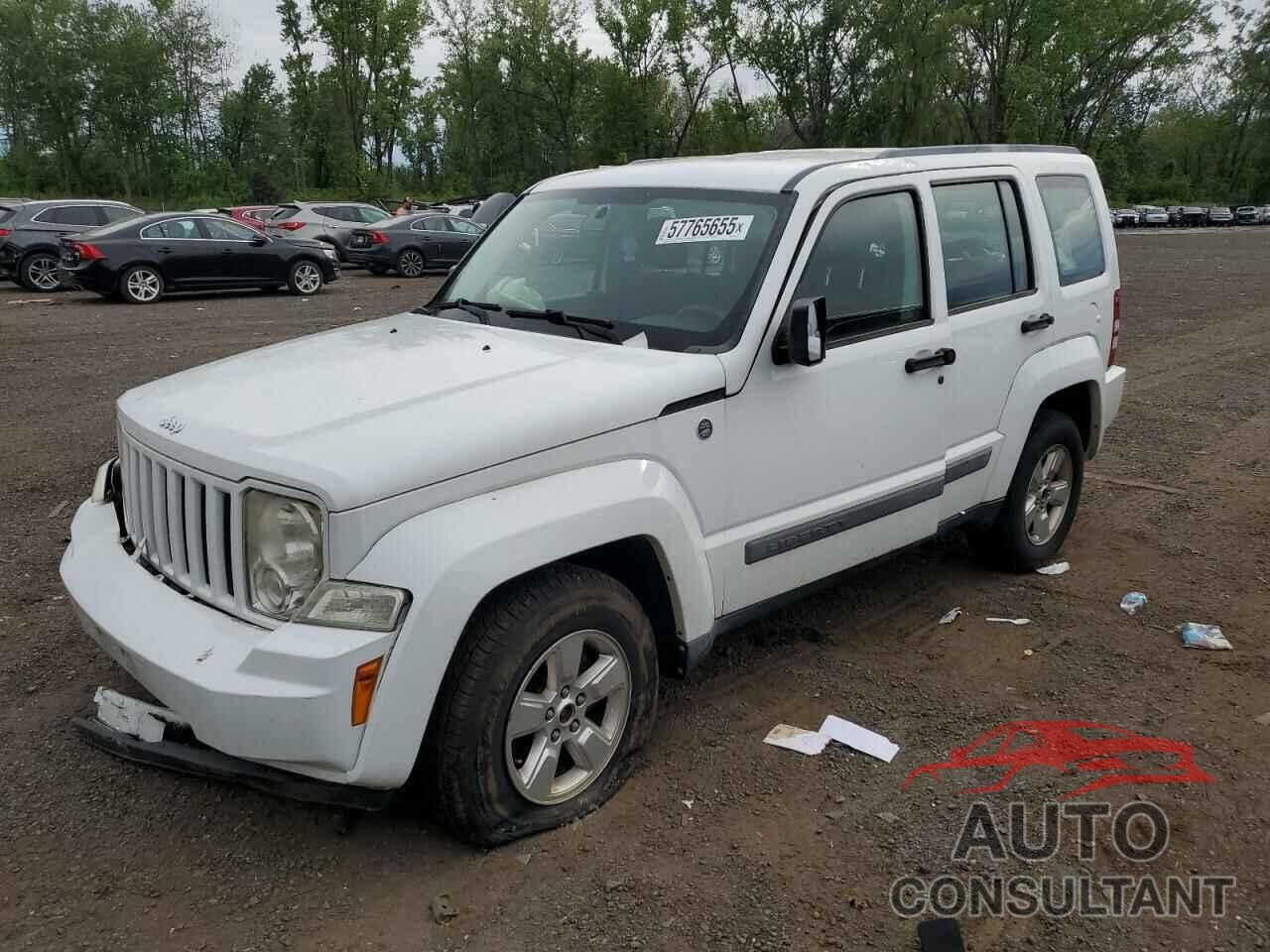 JEEP LIBERTY 2011 - 1J4PN2GK0BW588379