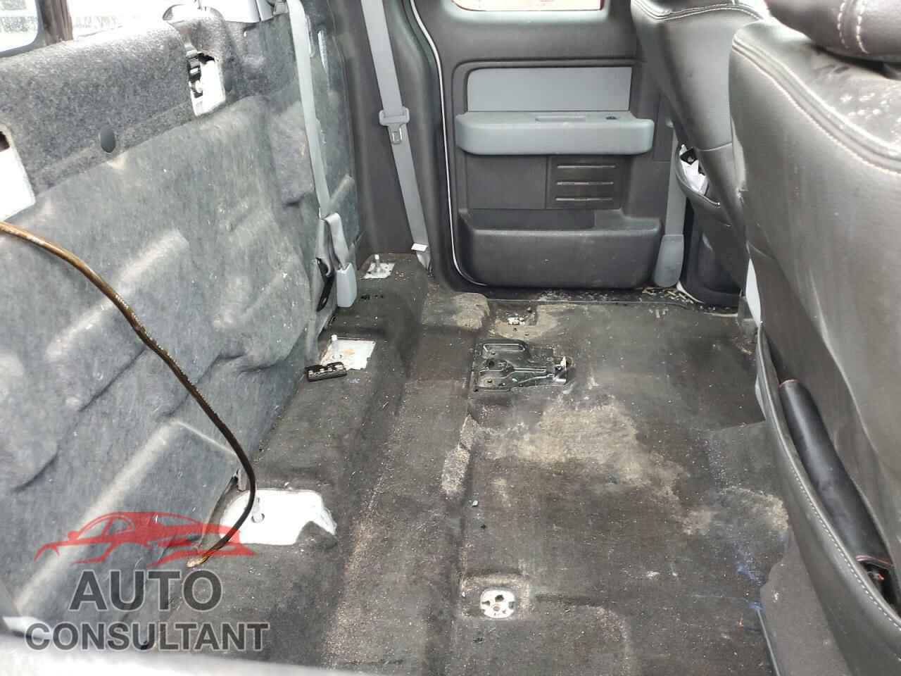 FORD F-150 2011 - 1FTFX1EF3BFA61318