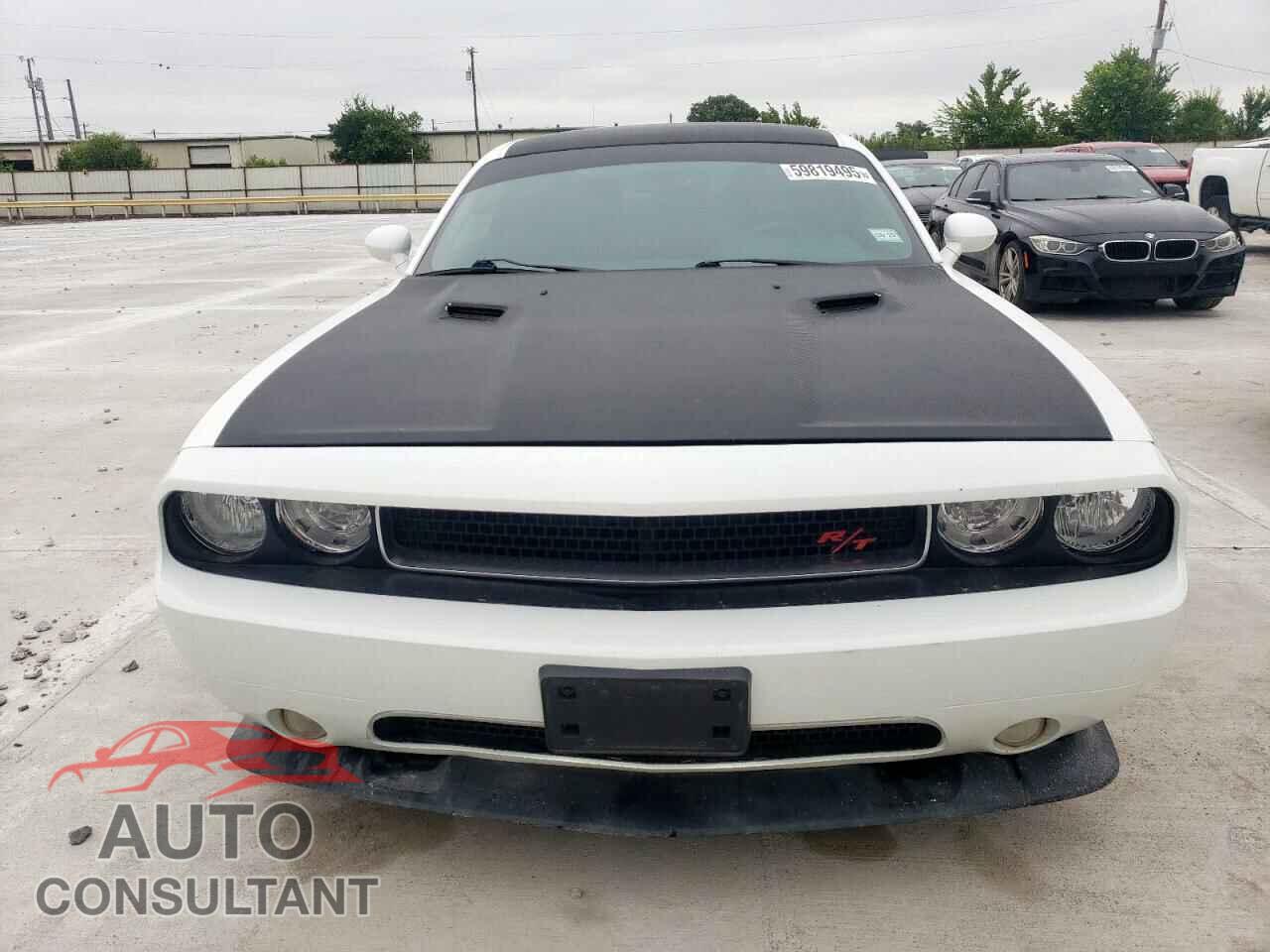 DODGE CHALLENGER 2014 - 2C3CDYBT8EH176776