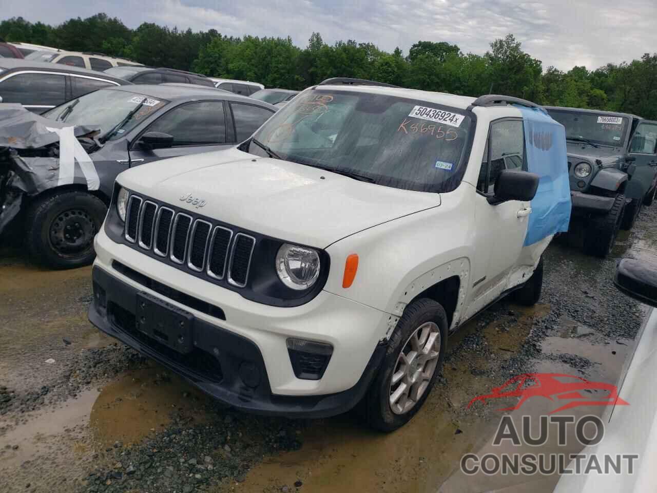 JEEP RENEGADE 2019 - ZACNJAAB4KPK86955