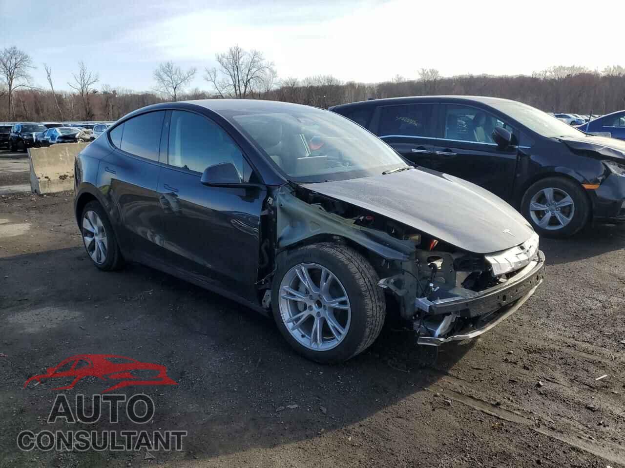 TESLA MODEL Y 2024 - 7SAYGDED1RF016792