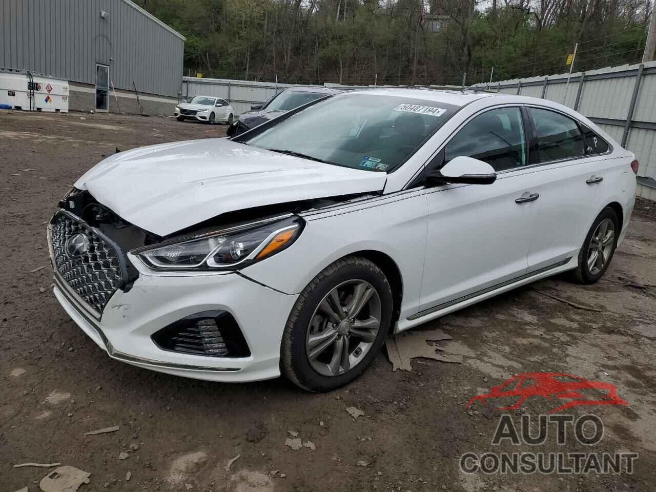 HYUNDAI SONATA 2019 - 5NPE34AF0KH811018