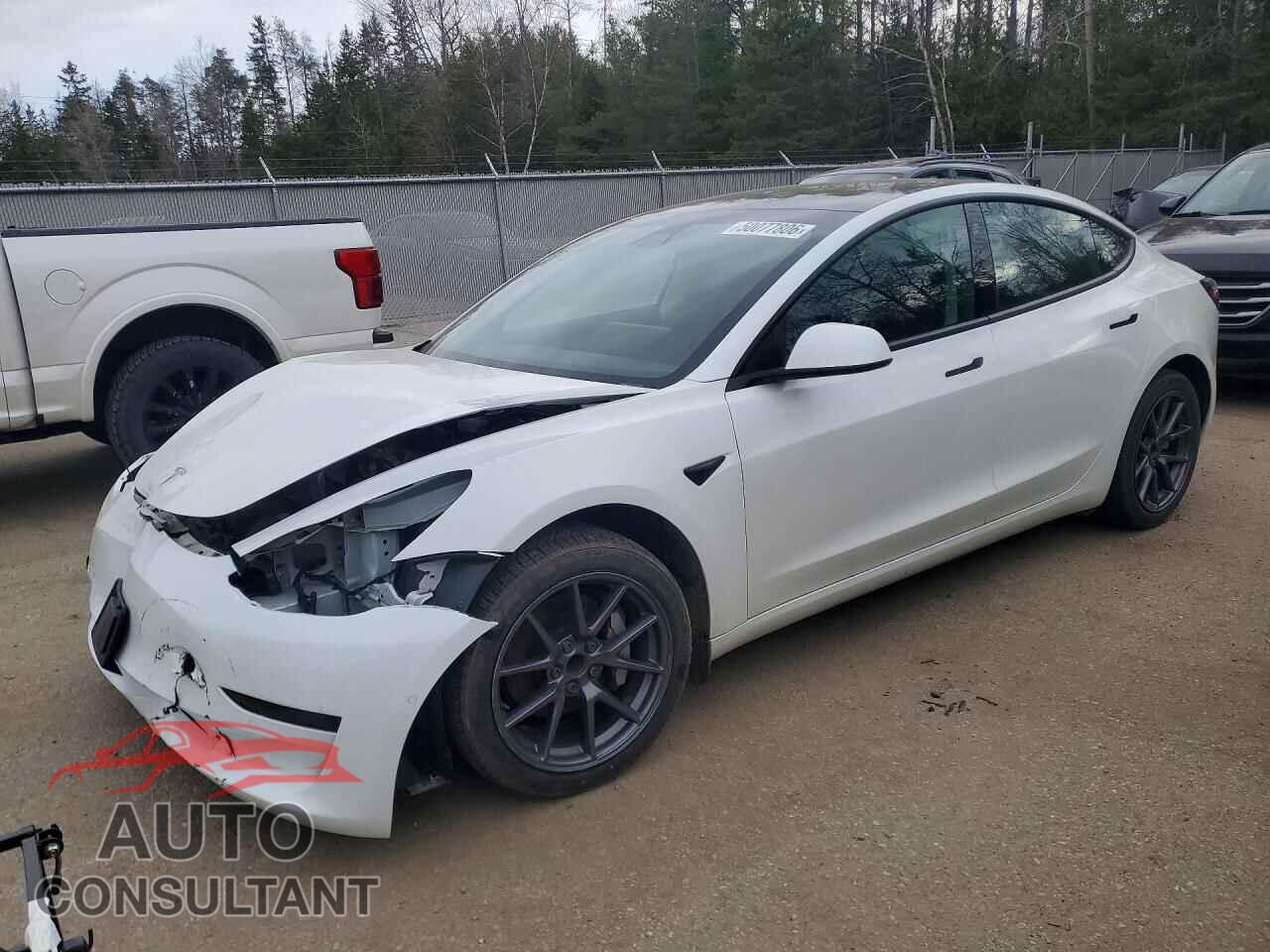 TESLA MODEL 3 2021 - 5YJ3E1EA2MF014320
