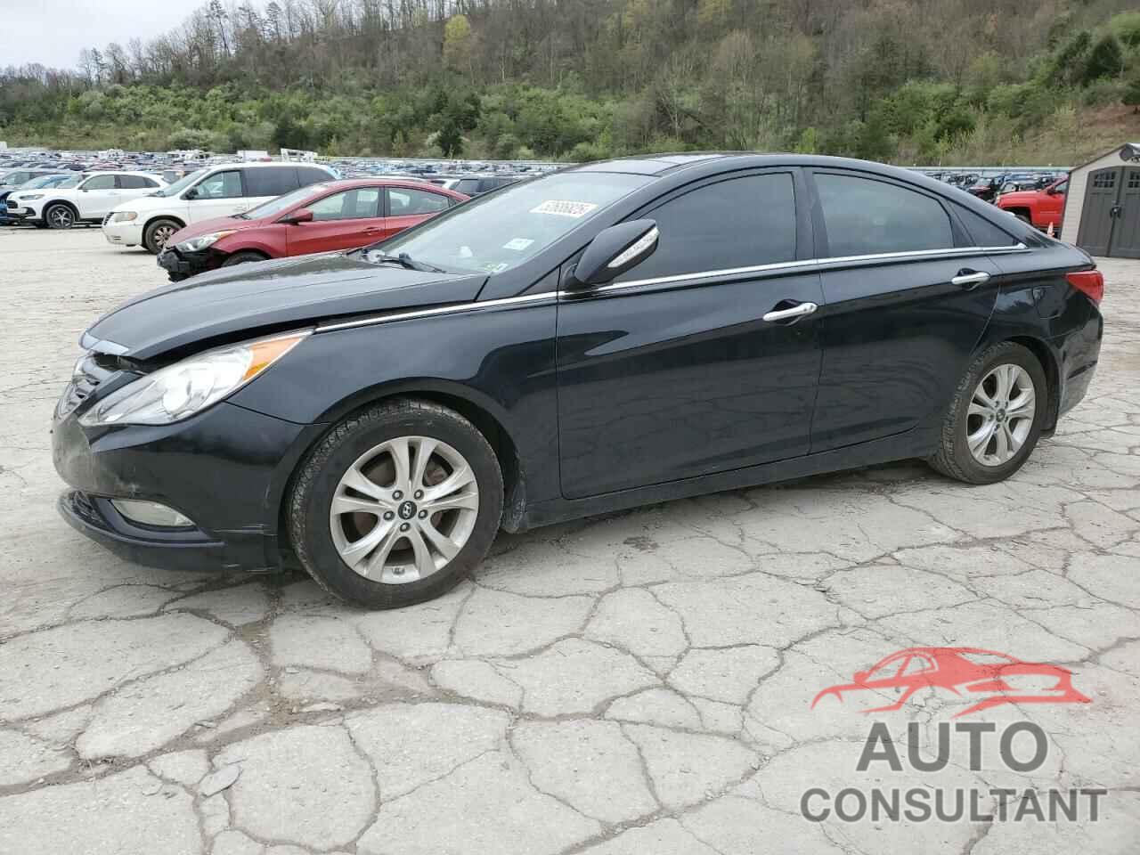 HYUNDAI SONATA 2013 - 5NPEC4AC4DH695332