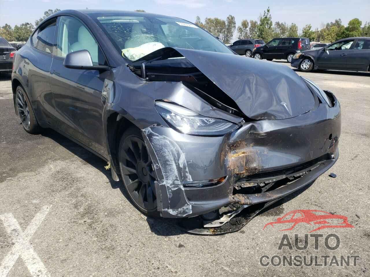 TESLA MODEL Y 2021 - 5YJYGDEE7MF172995