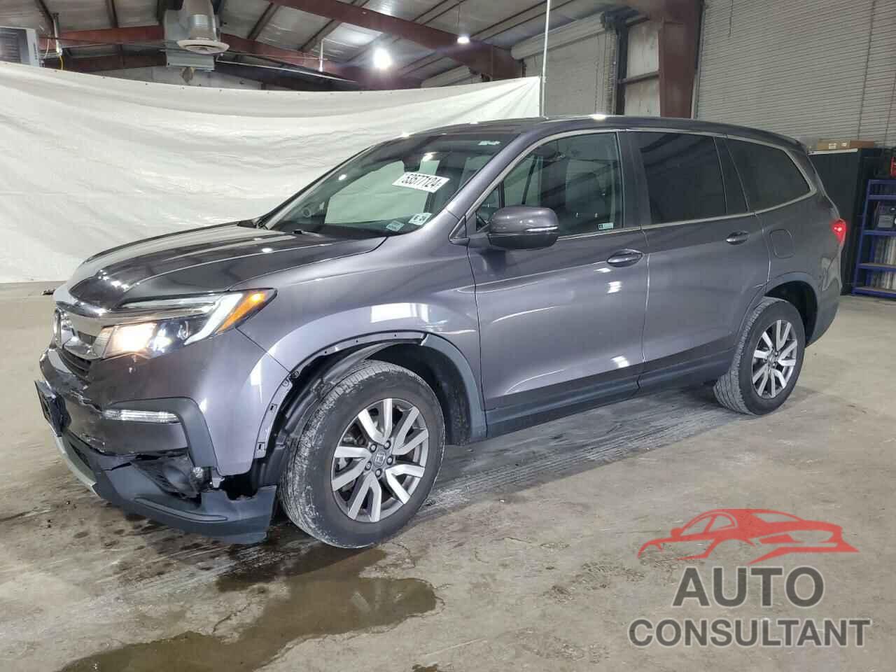 HONDA PILOT 2019 - 5FNYF6H5XKB092355