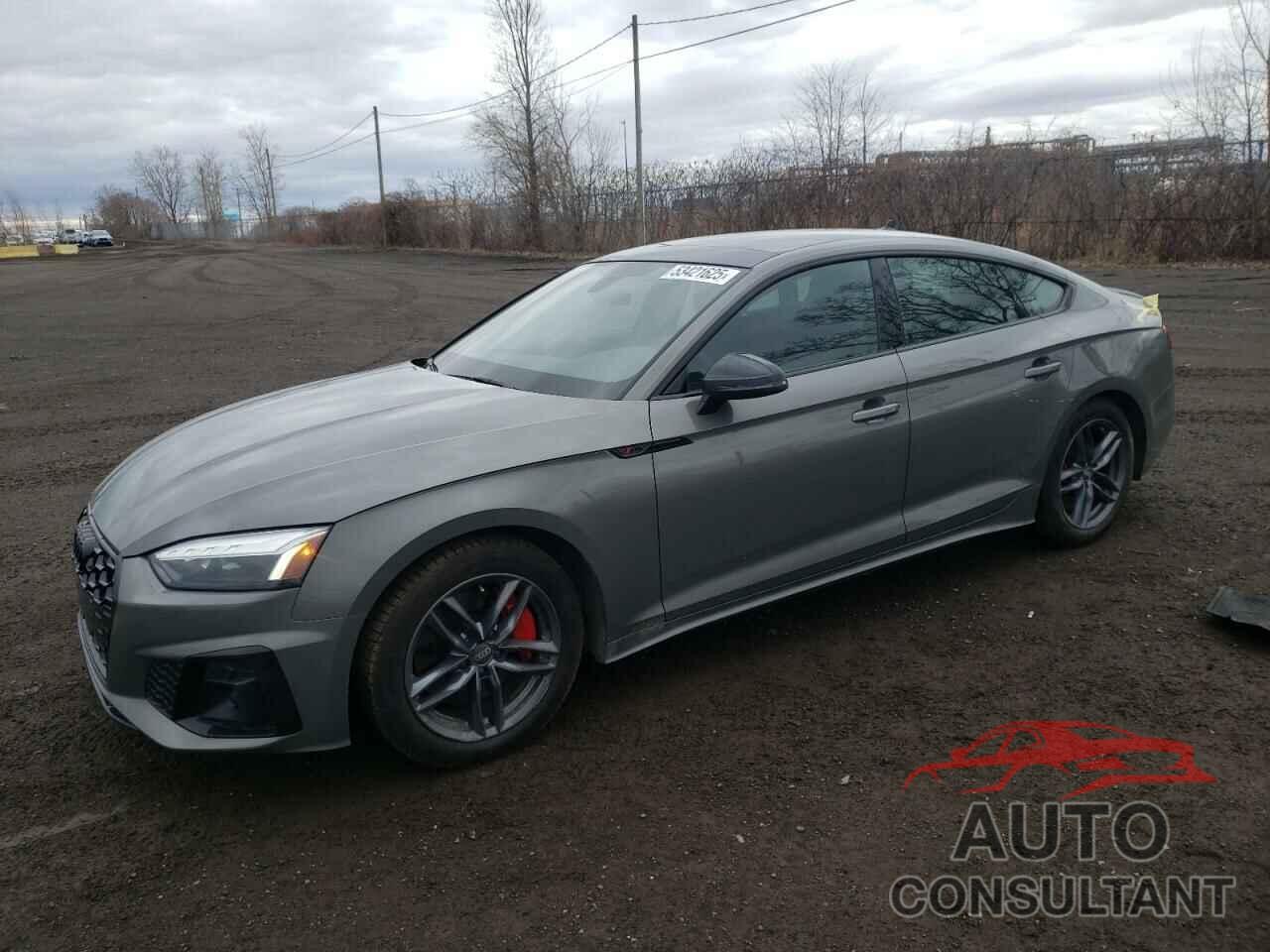 AUDI A5 2024 - WAUFACF52RA103095