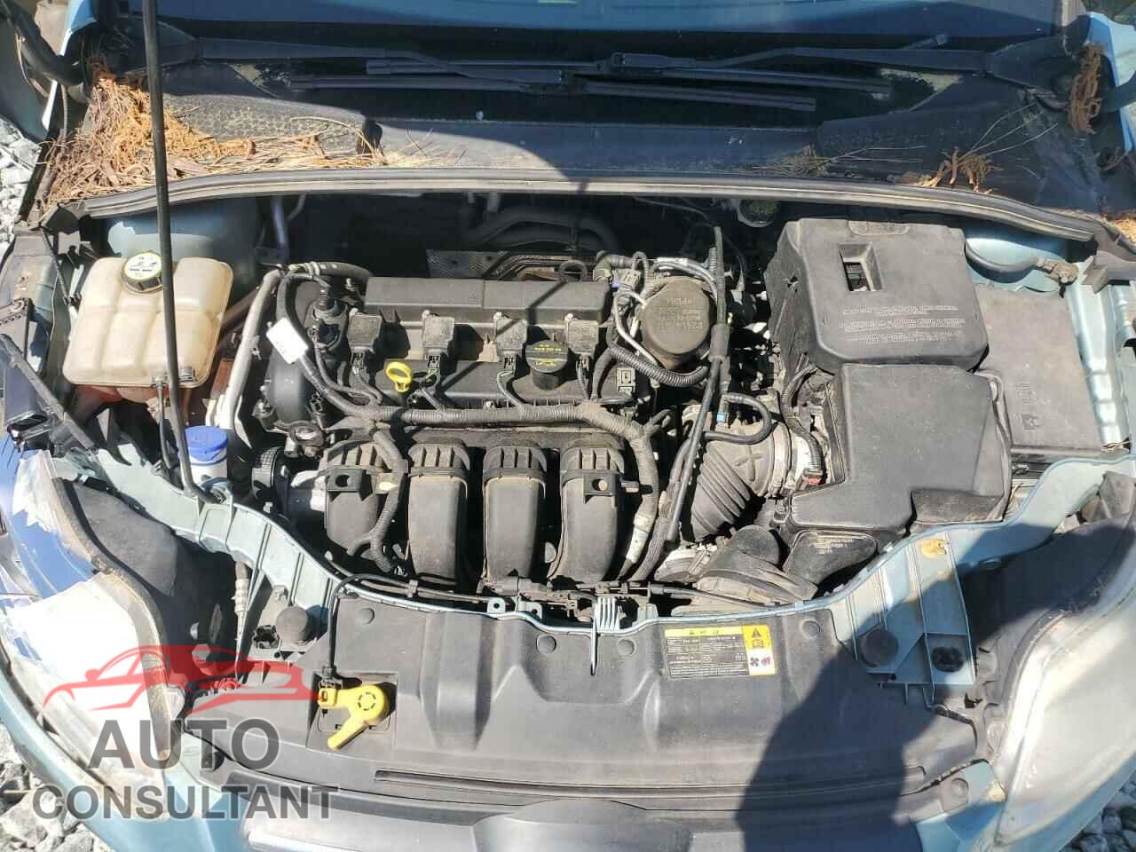 FORD FOCUS 2012 - 1FAHP3F27CL104390