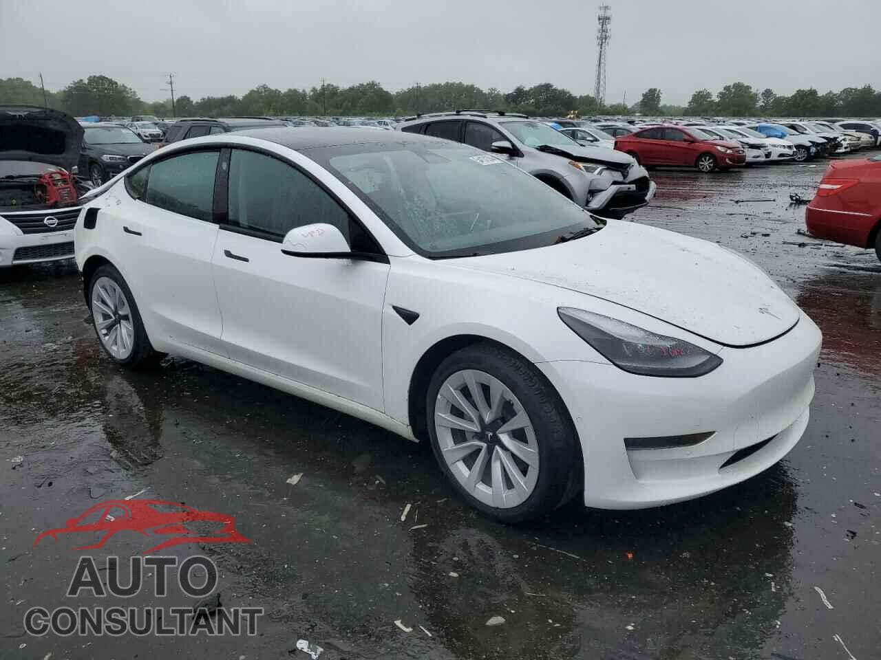 TESLA MODEL 3 2021 - 5YJ3E1EA5MF086337
