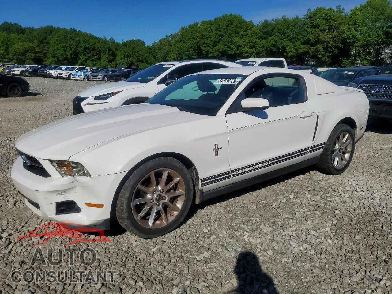 FORD MUSTANG 2010 - 1ZVBP8AN3A5121166