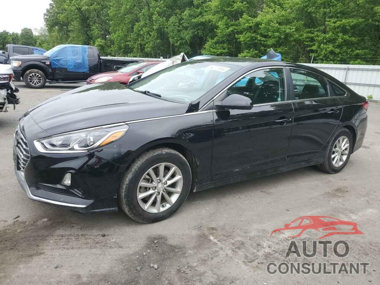 HYUNDAI SONATA 2019 - 5NPE24AF5KH793201