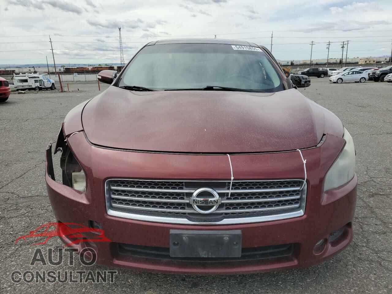 NISSAN MAXIMA 2009 - 1N4AA51E29C818517