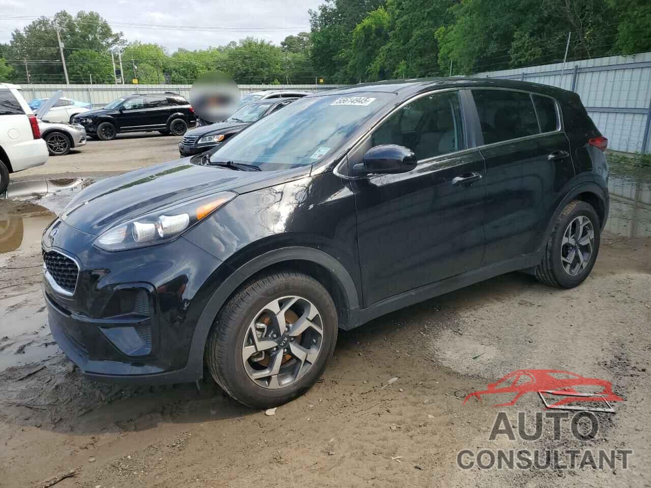 KIA SPORTAGE 2022 - KNDPM3AC9N7016550