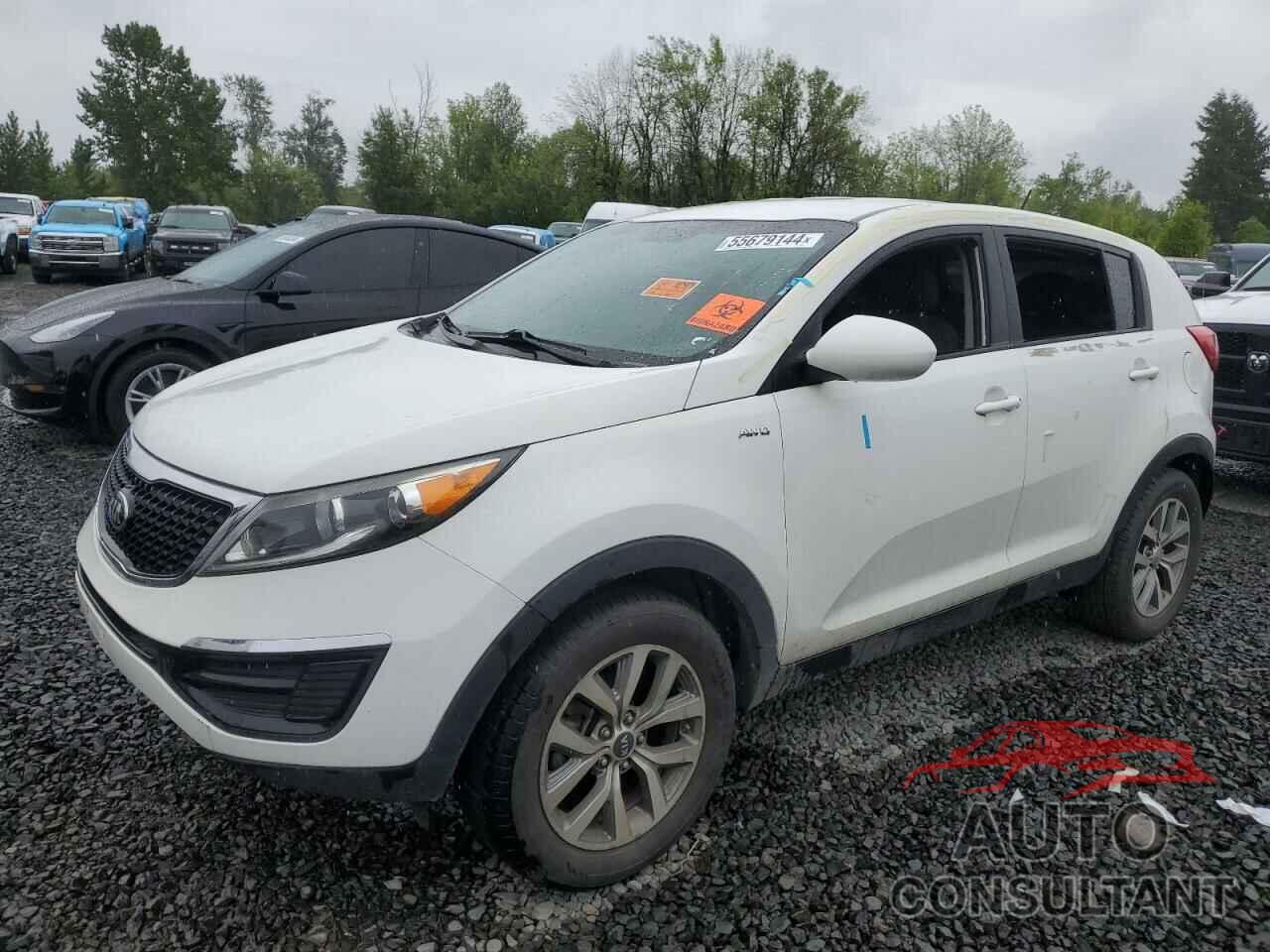 KIA SPORTAGE 2016 - KNDPBCAC8G7819200