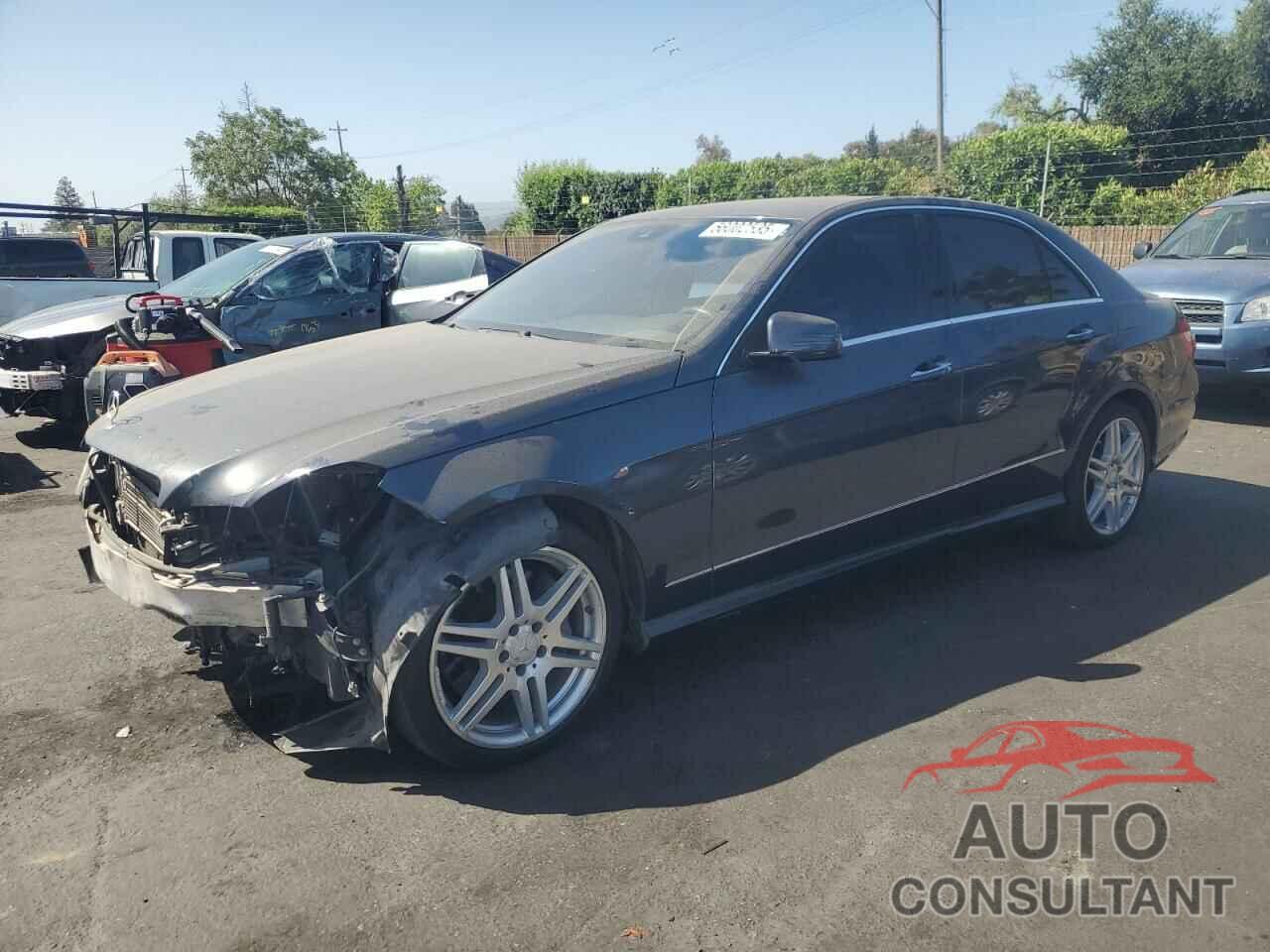 MERCEDES-BENZ E-CLASS 2010 - WDDHF7CB6AA053889