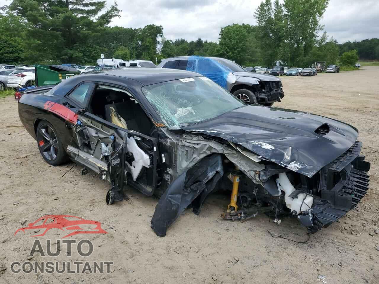 DODGE CHALLENGER 2019 - 2C3CDZBT7KH606217
