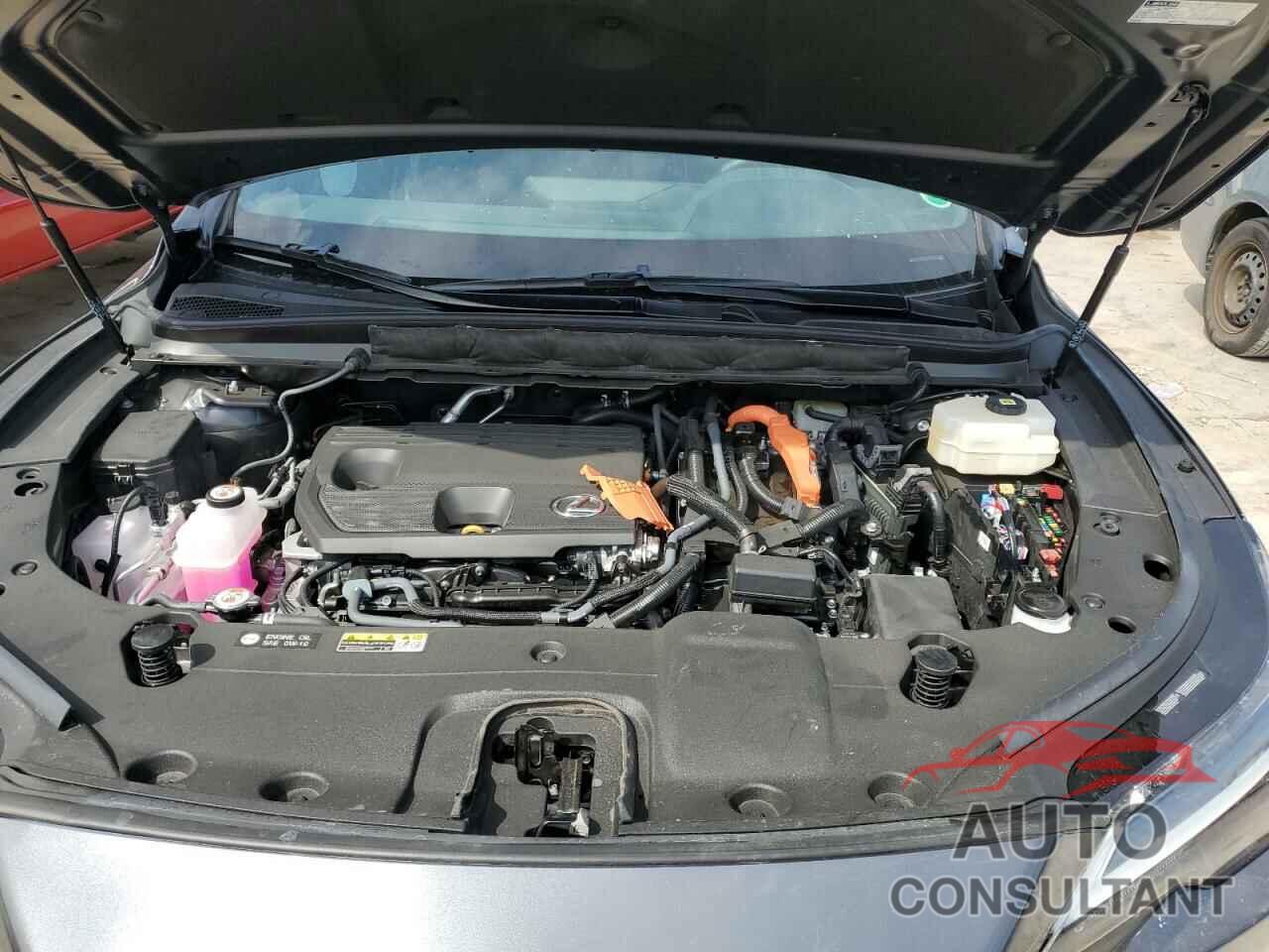 LEXUS RX 350H BA 2024 - 2T2BBMCA7RC061522