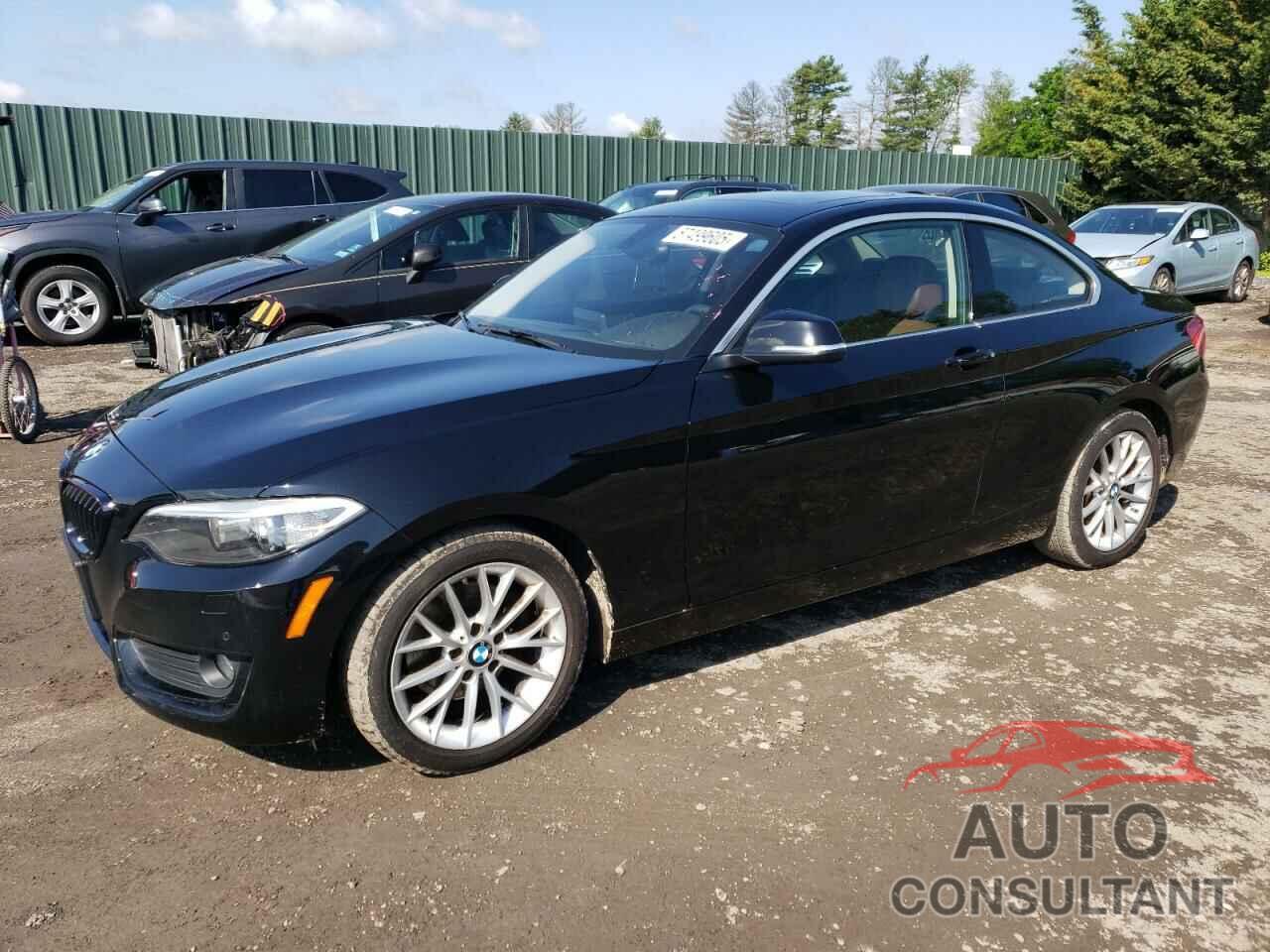 BMW 2 SERIES 2015 - WBA1F7C51FVX95877