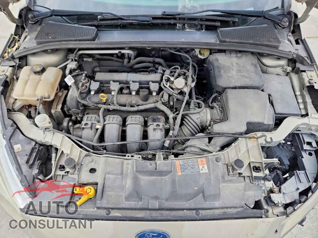 FORD FOCUS 2016 - 1FADP3F24GL344095