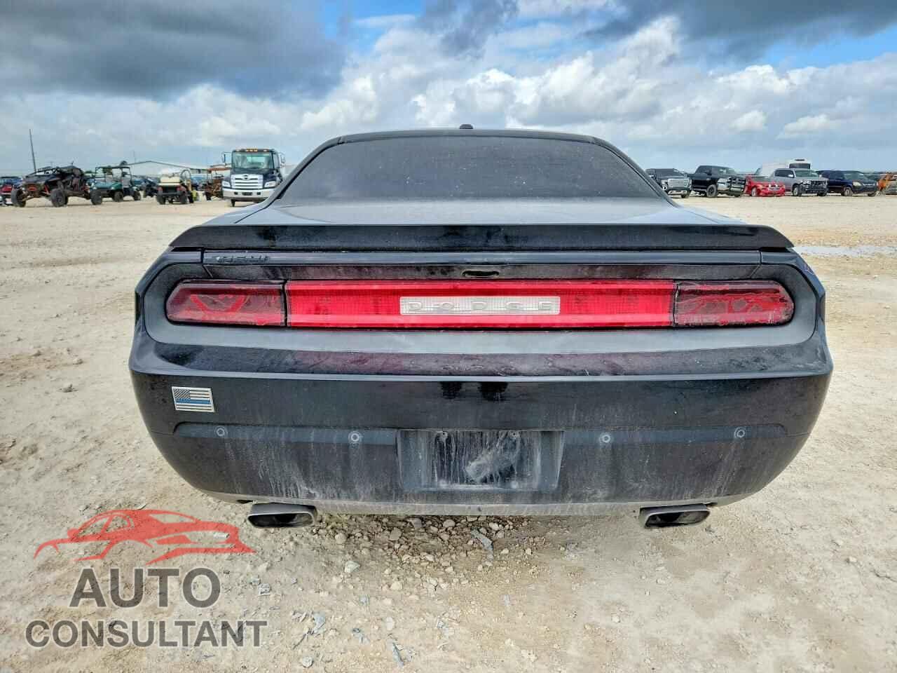 DODGE CHALLENGER 2013 - 2C3CDYBT2DH685910