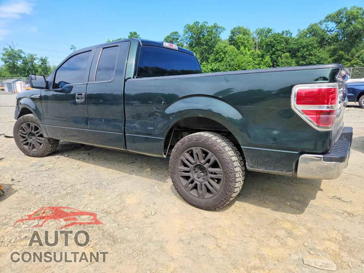 FORD F150 2013 - 1FTFX1CF5DFC95904