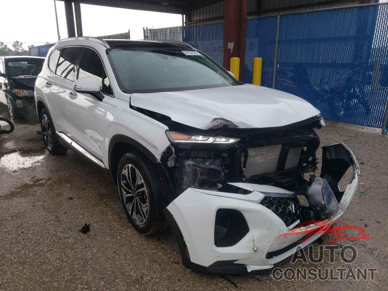 HYUNDAI SANTA FE 2019 - 5NMS53AA1KH118192